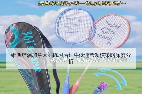 维斯塔潘加拿大站练习后红牛低速弯调校策略深度分析
